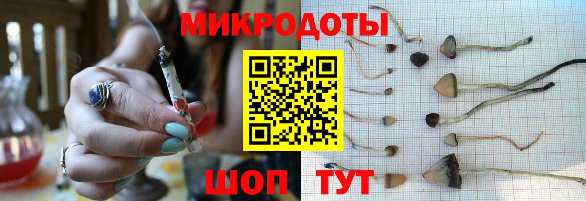 цена   Вход с VPN  Галлюциногенные грибы GOLDEN TEACHER  Избербаш  Псилоцибиновые грибы Cubensis 
